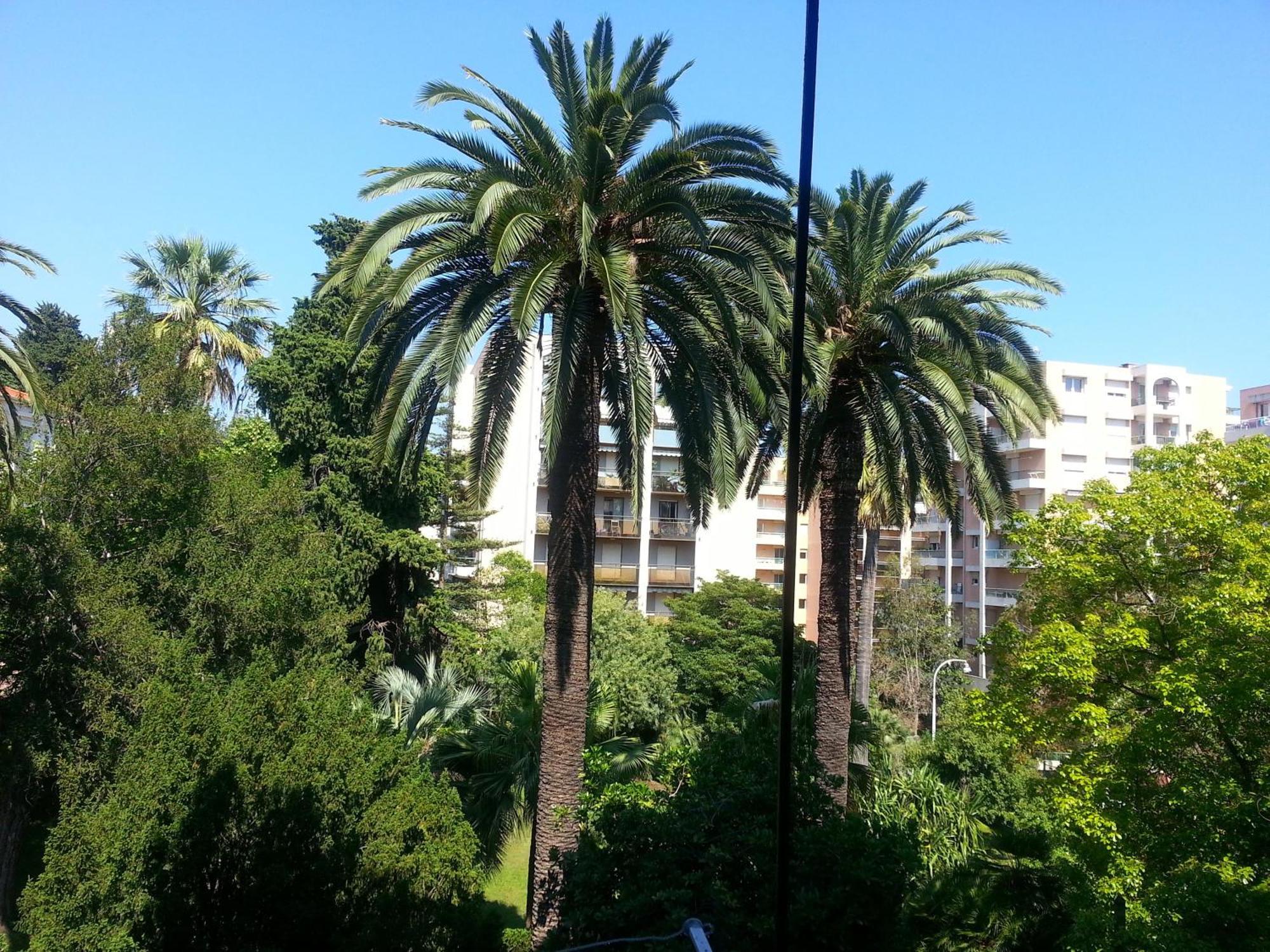 Apartment Palais De Coppet ニース 部屋 写真